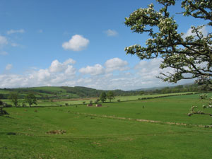 Towards Henshaw